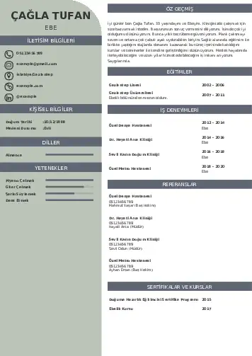 Ebe Cv Örnekleri cv indir